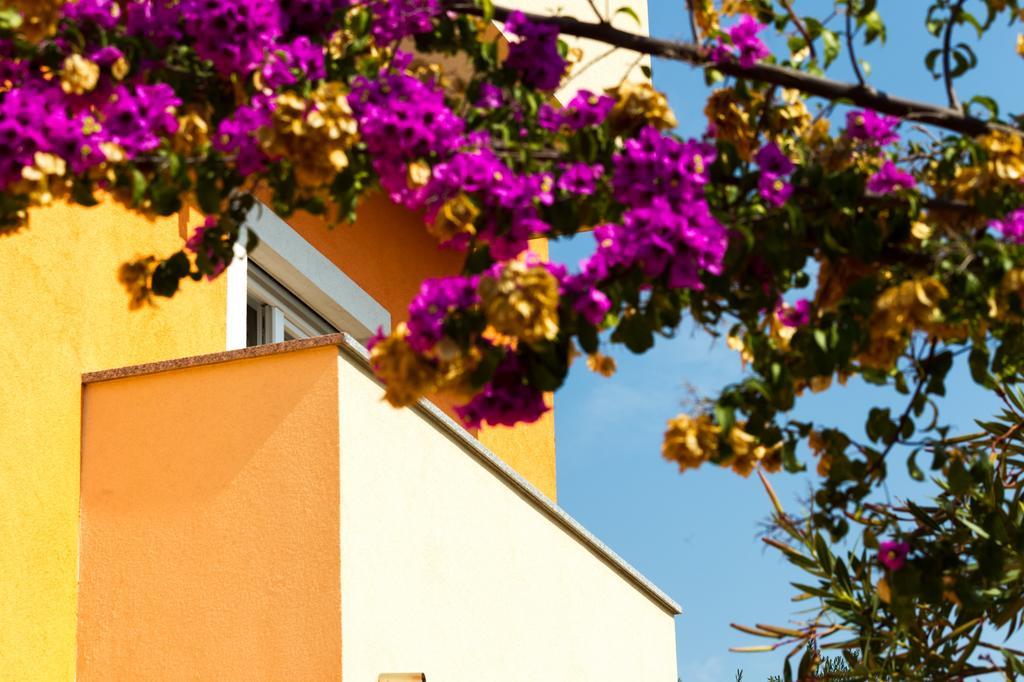Apartments Villa Orange Zadar Exterior foto